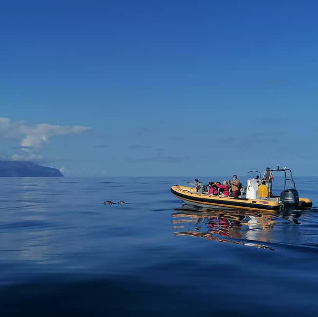 Passeios Turísticos: Trip to Corvo by Boat - Key highlights you will care about