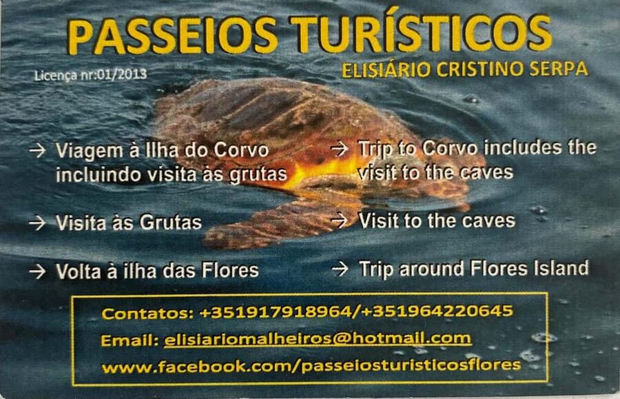Passeios Turísticos: Trip to Corvo by Boat - Flores coastline time: caves, waterfalls, and close-up shore views