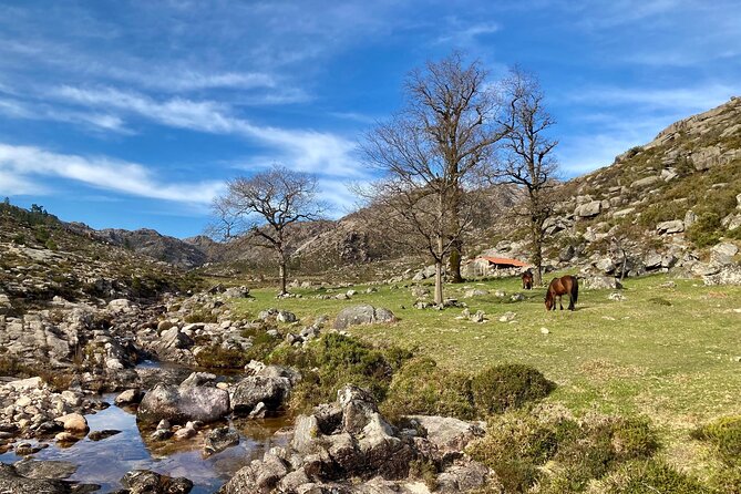 Peneda-Gerês Hiking & Sightseeing: Private Experience - Price and value: why $144.82 can make sense here