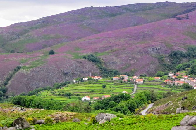 Peneda-Gerês Hiking & Sightseeing: Private Experience - Stop 1: Miradouro da Pedra Bela hike, big views with a steady pace