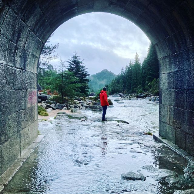 Peneda Geres National Park: Private Tour with a Guide - Price and value: why $141 can feel fair for a private national park day