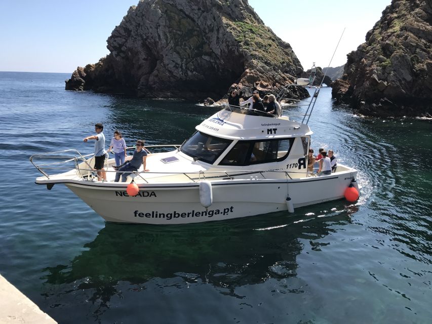 Peniche: Berlenga Island and Cave Tour - Price and value: is $41 fair for boat, cave viewing, and guided story?