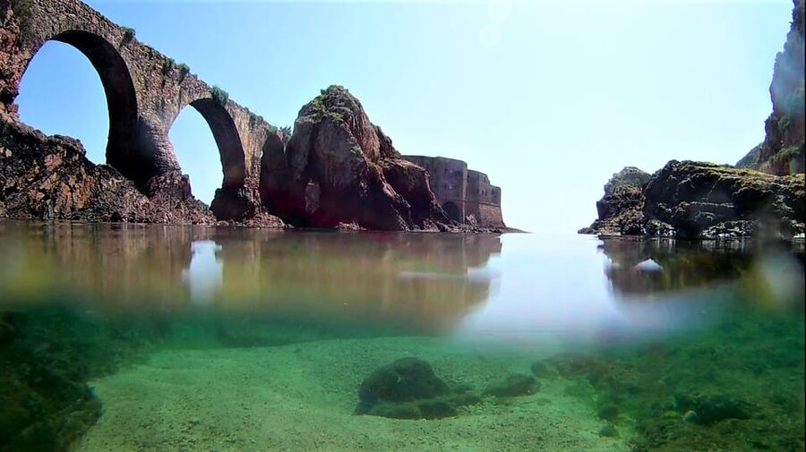Peniche: Berlengas Island Catamaran Tour + Snorkeling - Comfort and safety: seasickness, swimmers only, and cold water reality