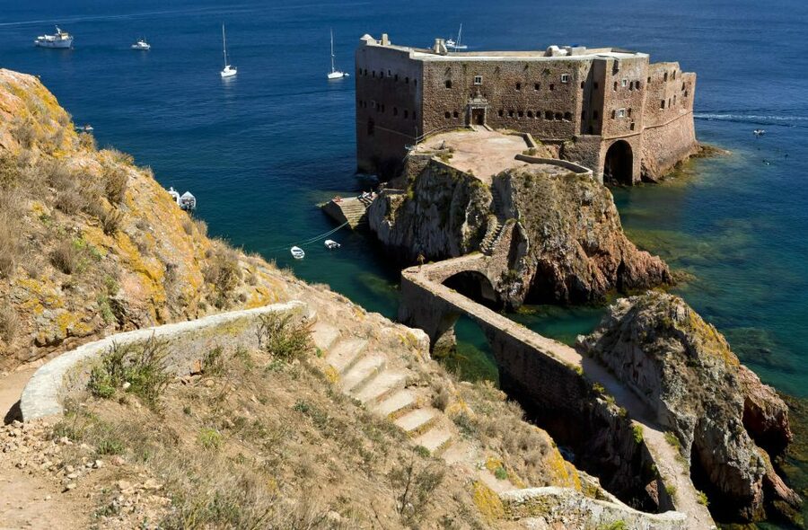 Peniche: Berlengas Roundtrip and Glass-Bottom Boat Cave Tour - The glass-bottom boat: what you’ll see under the water