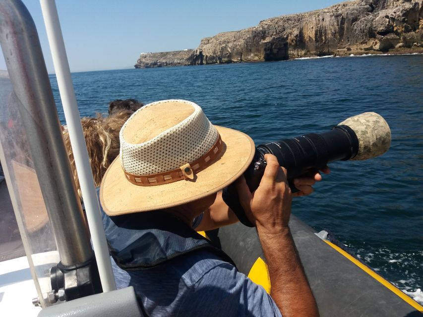 Peniche: Dolphin Route Boat Trip - Key moments that make this boat trip worth your time