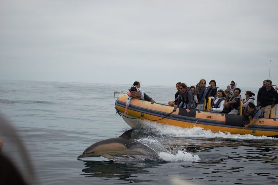 Peniche: Dolphin Route Boat Trip - Hearing local fisherman stories from the water