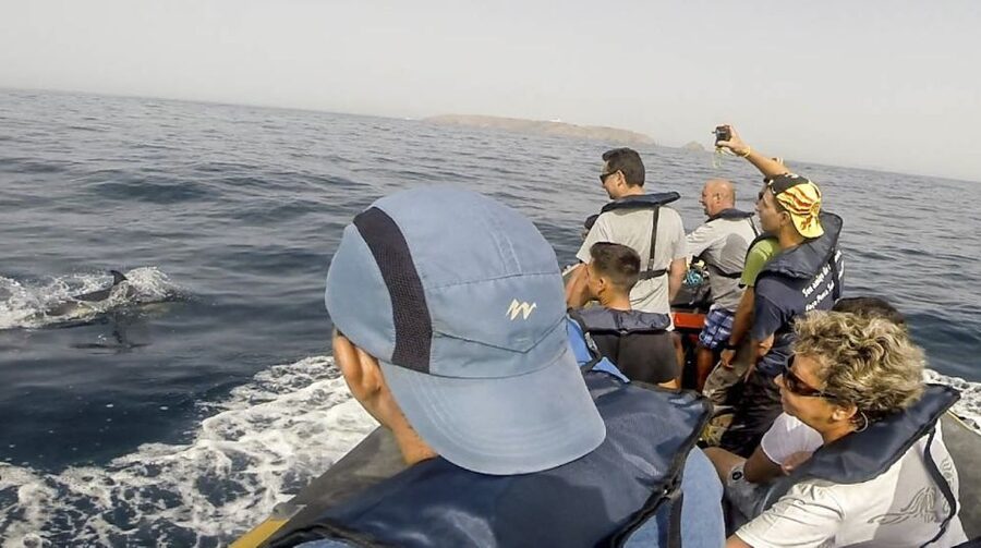 Peniche: Dolphin Route Boat Trip - Who this boat trip fits best (and who should skip it)