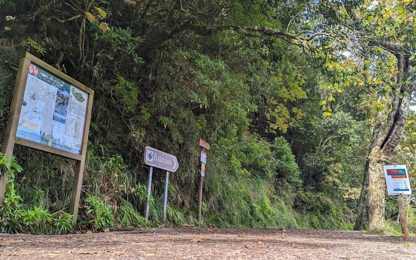 Pico do Arieiro in 4h: Immersive Private Tour - A smart half-day route for Madeira’s best altitude moments