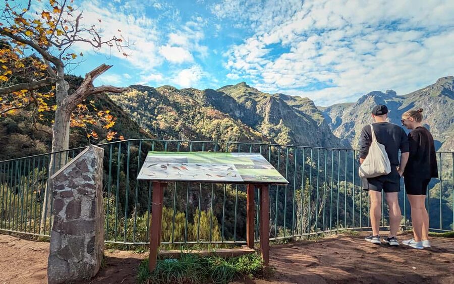 Pico do Arieiro in 4h: Immersive Private Tour - Camacha: football roots and the Levada da Serra water system story