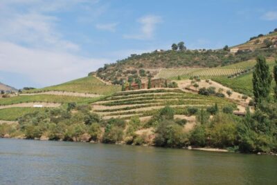 Pinhão: 2-Hour Rabelo Boat Tour with Audio Guide