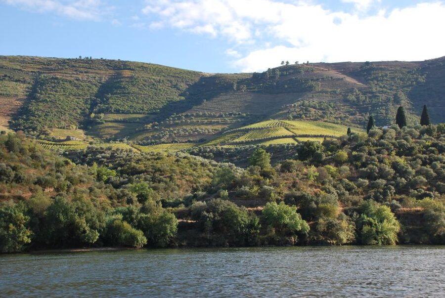 Pinhão: 2-Hour Rabelo Boat Tour with Audio Guide - Returning to Pinhão: why you see it differently the second time