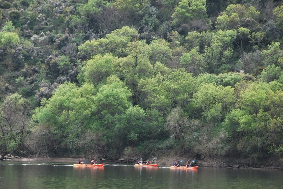 Pinhão: 4 Hour Douro Valley Kayak Rental - Pinhão Kayak Time: Why a 4-Hour Paddling Break Works