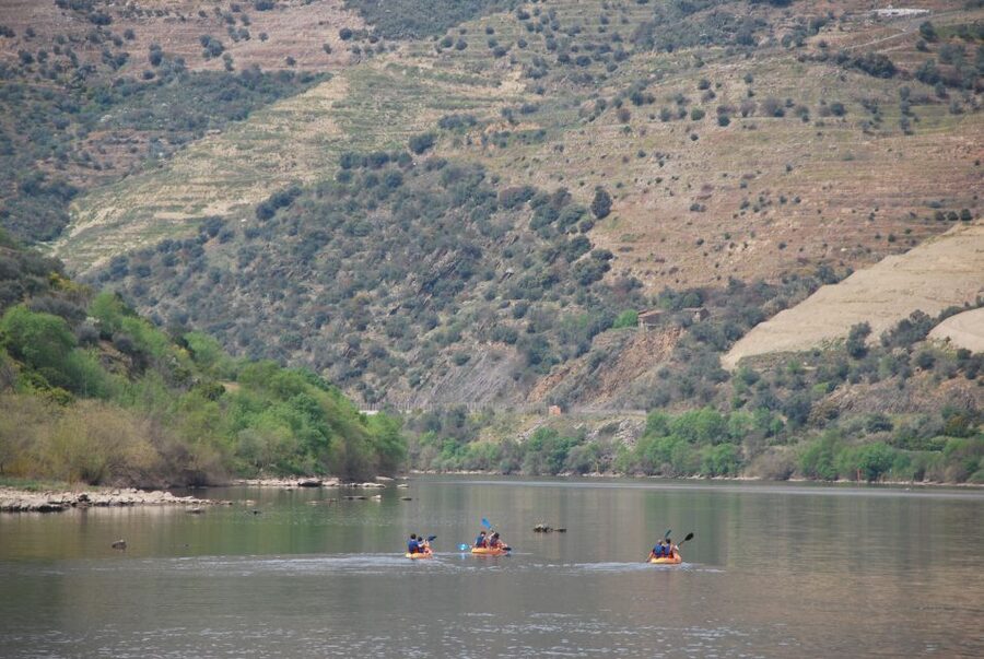 Pinhão: 4 Hour Douro Valley Kayak Rental - Who This Trip Suits Best, and Who Might Find It Annoying