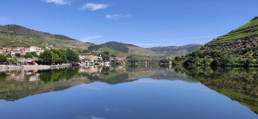 Pinhão: Douro River 50-min Boat Trip with Port Wine - Key things I’d circle before you go