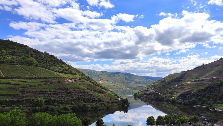 Pinhão: Douro River 50-min Boat Trip with Port Wine - Boat comfort and safety details that affect real life