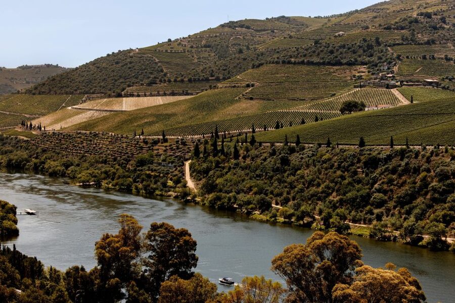 Pinhão: Douro River Boat Tour with Lunch - Price and Value: Does $80 Actually Make Sense Here?