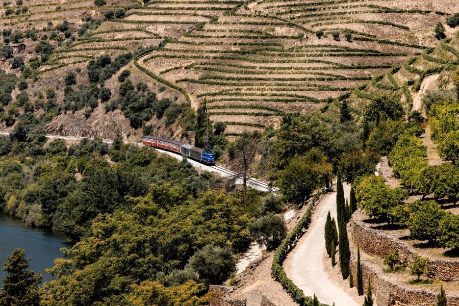 Pinhão: Douro River Boat Tour with Lunch - Should You Book This Pinhão Douro River Boat Tour With Lunch?