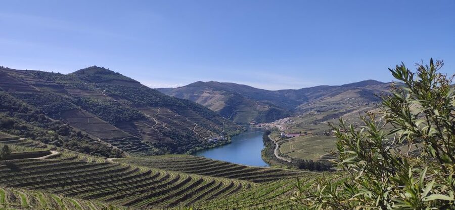 Pinhão: Douro Valley with Wine Tasting, Boat Trip and Lunch - The 50-minute Douro River cruise, the views are the point