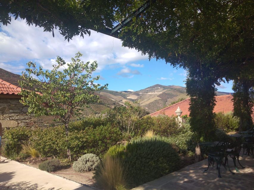 Pinhão: Douro Valley with Wine Tasting, Boat Trip and Lunch - Pinhão train station azulejos and the panoramic payoff