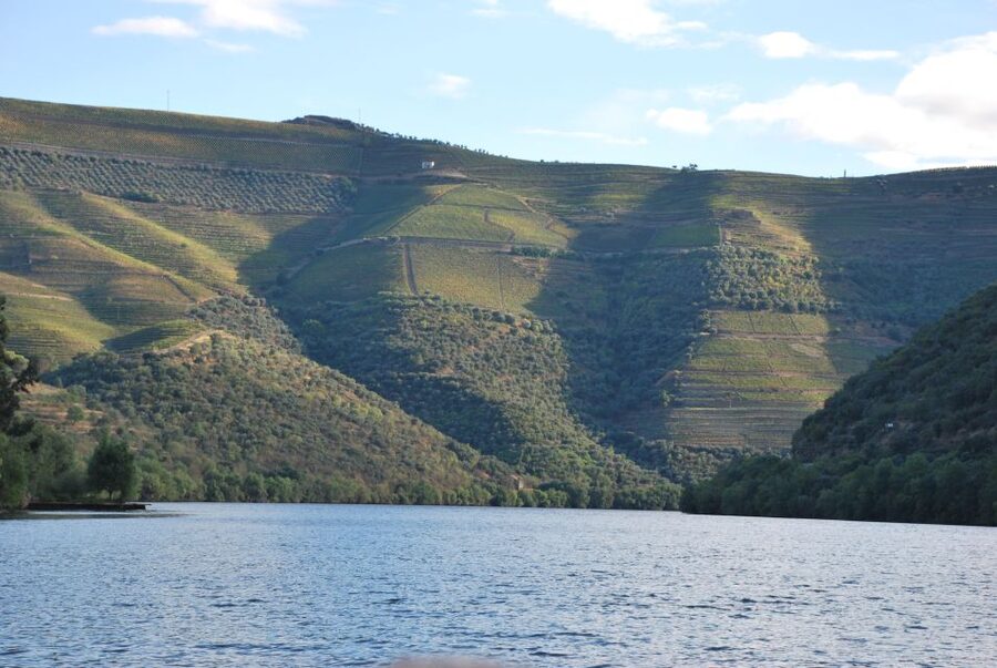 Pinhão: Private Rabelo Boat Tour along the River Douro - Rabelo boat comfort: open and closed areas for rain or shine