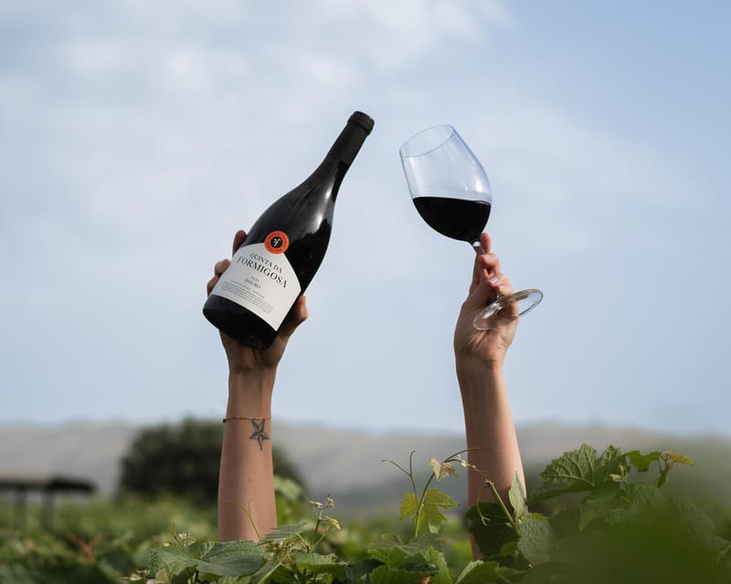 Pinhão: Quinta da Formigosa Vineyard Tour and Wine Tasting - Quinta da Formigosa in the Douro, why this small estate tour feels different