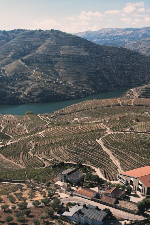 Pinhão: Quinta da Formigosa Vineyard Tour and Wine Tasting - Price and value: what $35 gets you, and when it’s a smart spend
