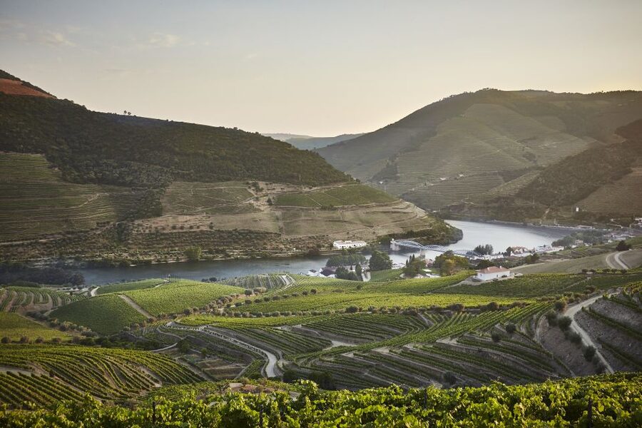Pinhão: Quinta do Bomfim Visit and Tasting - Quick Takeaways