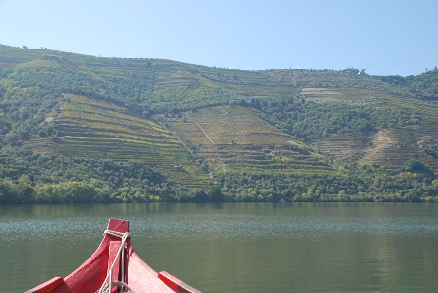 Pinhão: Rabelo Boat 1-Hour Tour - Why This 1-Hour Douro Cruise Works
