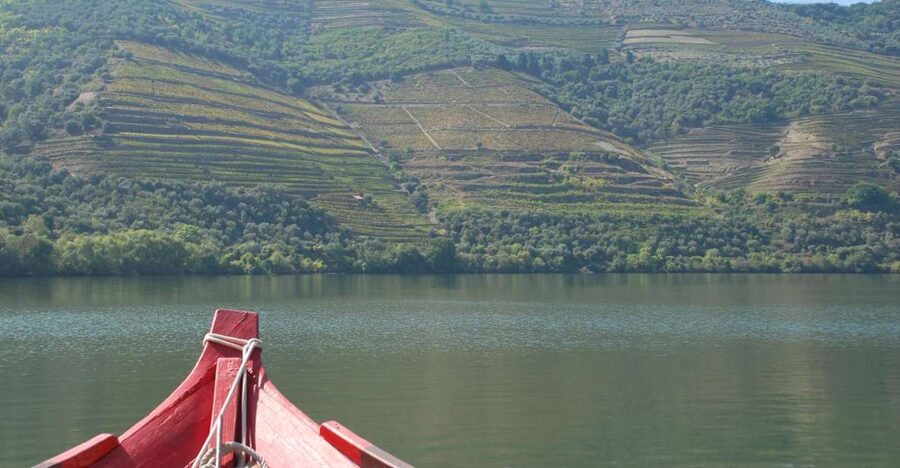 Pinhão: Rabelo Boat 1-Hour Tour - A One-Hour Rabelo Cruise From Pinhão, Past the Iron Bridge