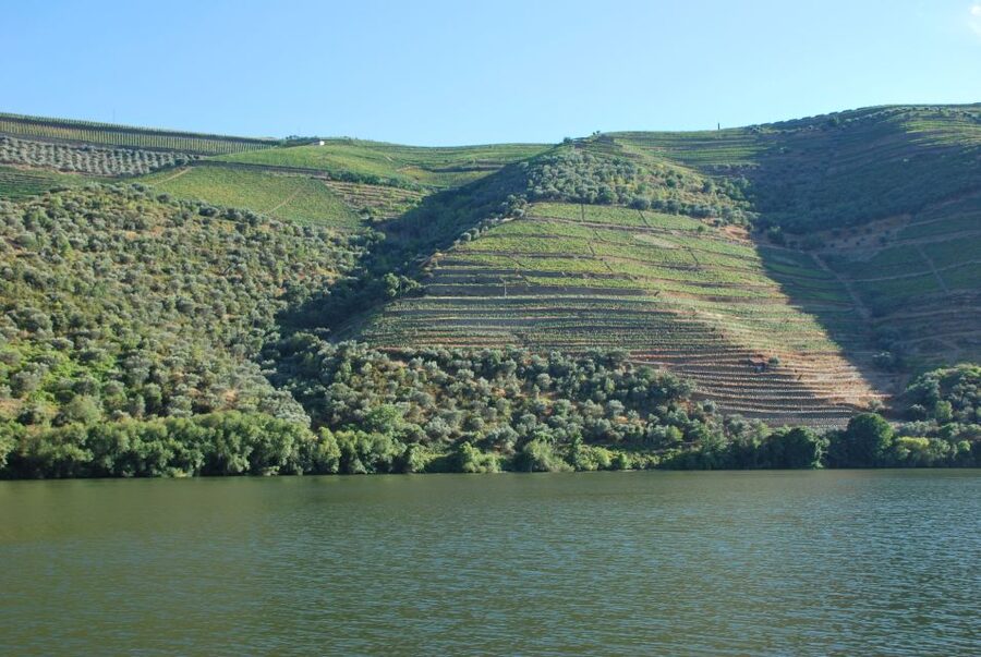 Pinhão: Rabelo Boat 1-Hour Tour - The Return Upstream: Same Stretch, Two Different Viewpoints
