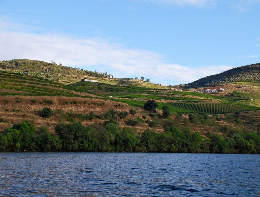 Pinhão: Rabelo Boat 1-Hour Tour - Price and Timing: Is $17 Worth It?