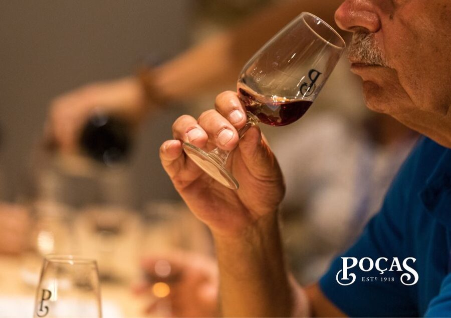 Poças: Guided Tour & Port Wine Tasting with Pastel de Nata - Douro Valley Context and Port Styles You May Not Expect