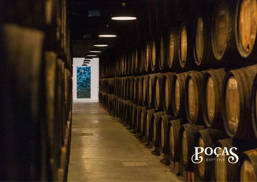 Poças: Guided Tour & Port Wine Tasting with Pastel de Nata - Value Check: Does $27 Buy Real Learning?