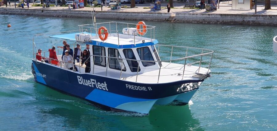 Ponta da Piedade: Half-Day Cruise with Lunch from Lagos - Key Highlights You Will Feel Immediately
