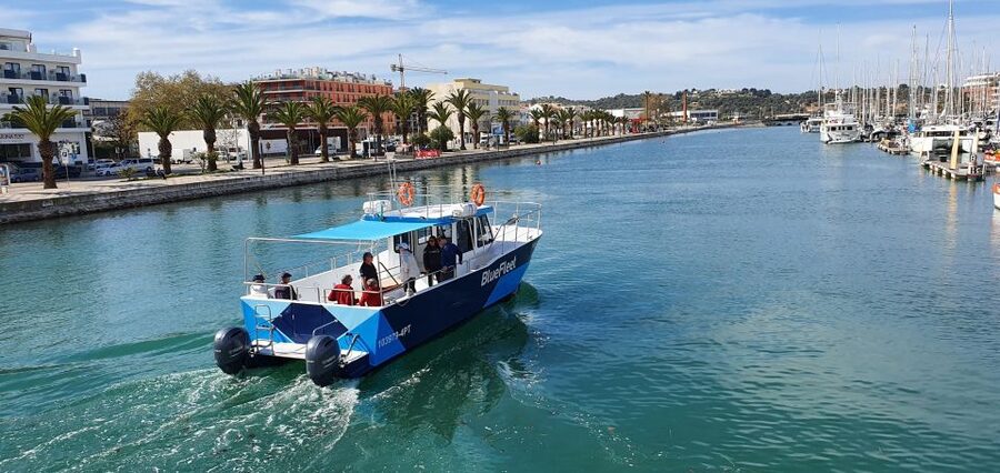 Ponta da Piedade: Half-Day Cruise with Lunch from Lagos - Lunch Onboard: Portuguese Comfort Food With Drinks During Meal
