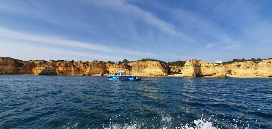 Ponta da Piedade: Half-Day Cruise with Lunch from Lagos - Price and Value: What $60 Really Buys You
