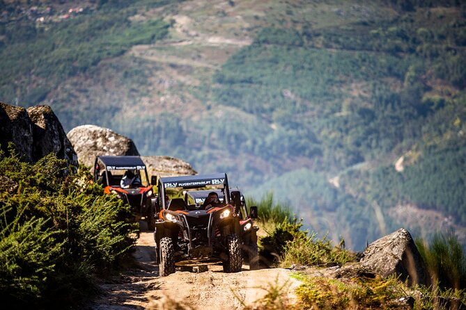 Ponte de Lima Guided Buggy Tour - Key highlights to look for