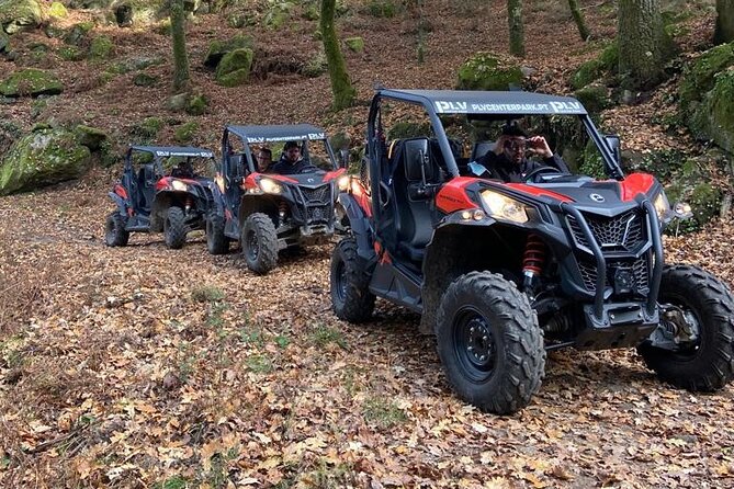 Ponte de Lima Guided Buggy Tour - The thrill of driving your own buggy in Portugal’s hills