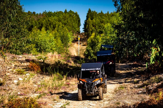 Ponte de Lima Guided Buggy Tour - Dust, goggles, and the best time to go