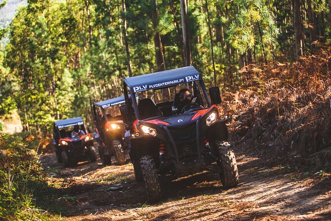 Ponte de Lima Guided Buggy Tour - Price and value: what $181.02 per group gets you