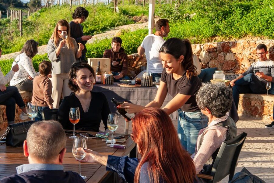 Porches: Algarve Vineyard Tour and Wine Tasting Experience - Should you book the Algarve Vineyard Tour at Quinta dos Capinhas?