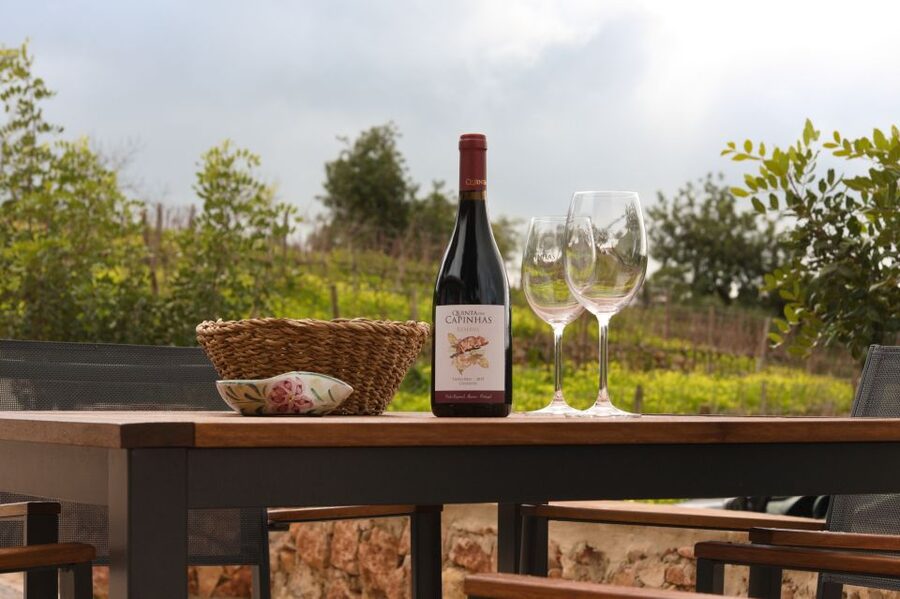 Porches: Algarve Vineyard Tour and Wine Tasting Experience - Why the views matter as much as the wine