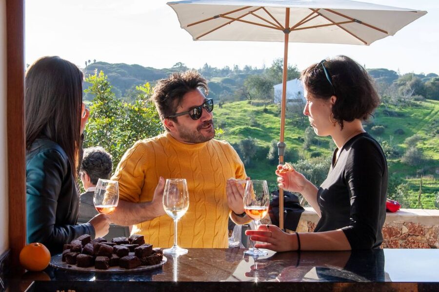 Porches: Algarve Vineyard Tour and Wine Tasting Experience - Who should book this Algarve wine tasting (and who should skip it)