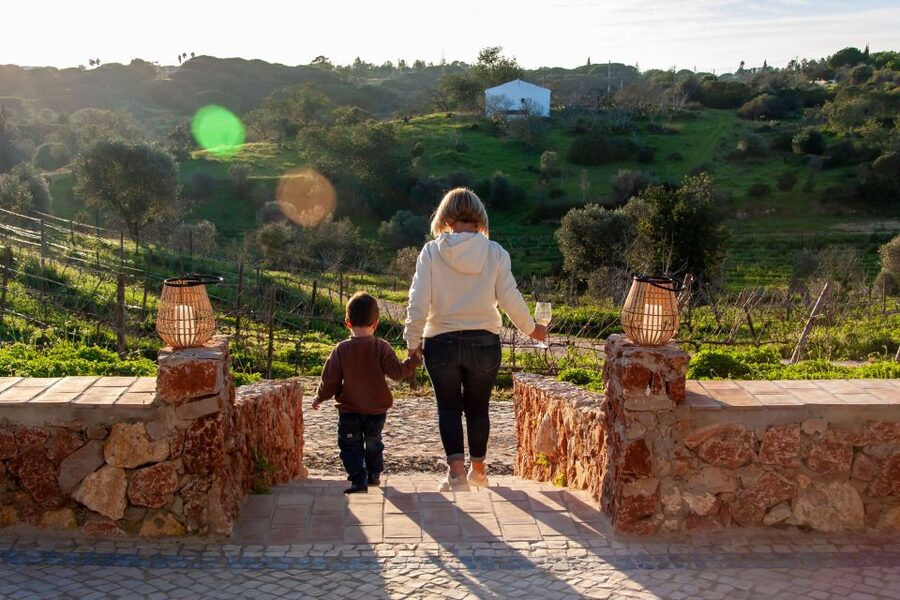 Porches: Algarve Vineyard Tour and Wine Tasting Experience - Practical tips: meeting point, shoes, and weather realities