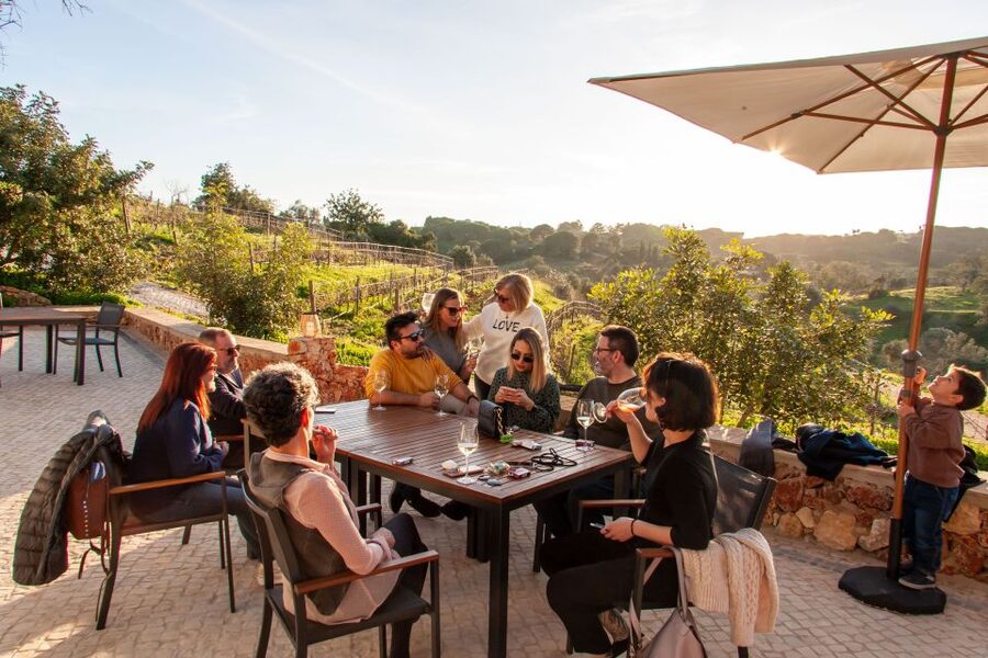 Porches: Algarve Vineyard Tour and Wine Tasting Experience - Tasting four wines plus tapas: the part you will remember