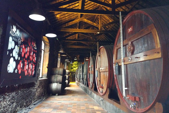 Port Wine Lodges Tour Including 7 Port Wine Tastings (English) - Three port houses, not just one big name