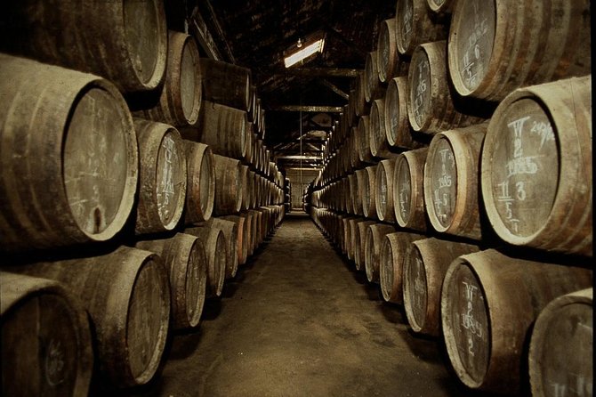 Port Wine Lodges Tour Including 7 Port Wine Tastings (English) - Vila Nova de Gaia museum and cellar tour
