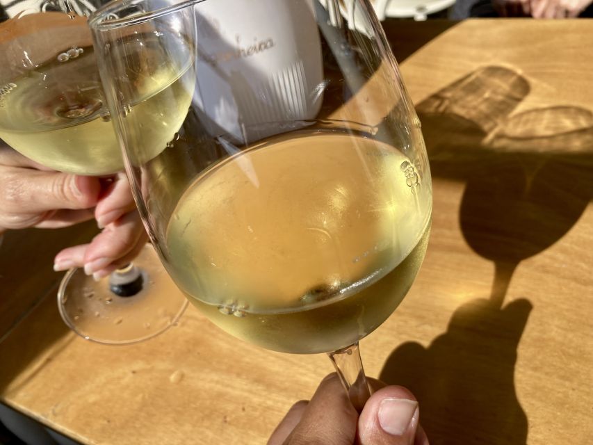 Port wine & wine walking tour with culture - max 8 pax - Dom Luís Bridge to Cais de Gaia, changing the scenery and the mindset