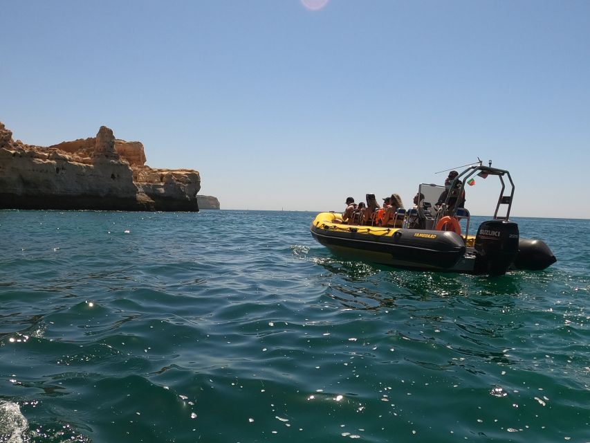 Portimão: 2-Hour Dolphin Watching Boat Tour - Portimão Dolphin Speedboat in Two Hours: What You Really Get