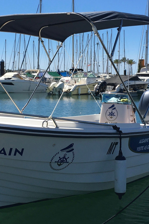 Portimão: Caves, Benagil and Algarve Coastline Boat Tour - Marinha Beach stops: where you actually get to chill